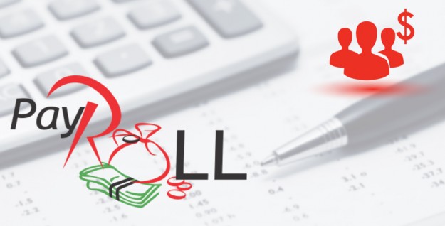 How Payroll Software Brings Value To Your Business? Payroll Software