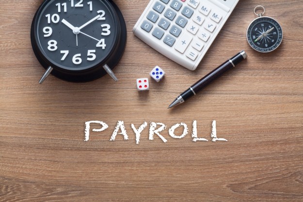 simple payroll software