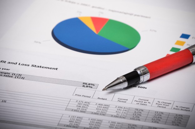Profit and Loss Statement with financial figures and investment budget